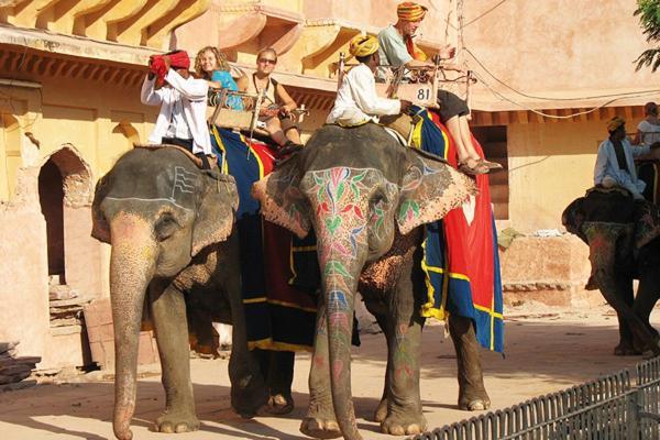 Hotel Nangis Pride Jaipur Luaran gambar